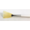 Fan masking brush facial treatment