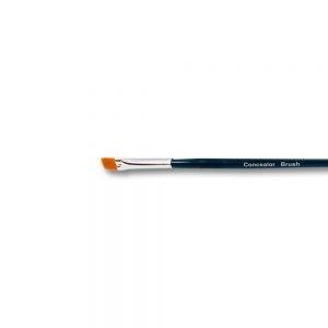 Black Makeup Concealer Brush tip